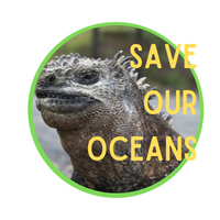 Save Our Oceans Badge