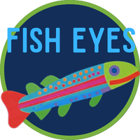 Fish Eyes: Story and Art Experience Badge