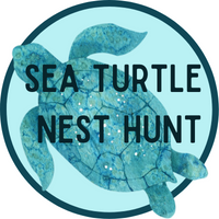 Find The Sea Turtles Nest Badge