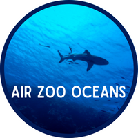 Air Zoo: an ocean of possibilities Badge